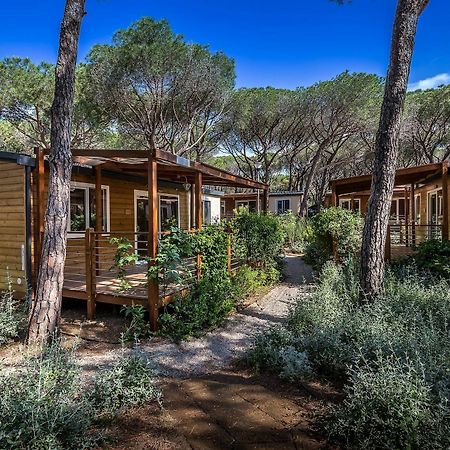 Camping Internazionale Etruria كاستيغليون ديلا بيسكايا المظهر الخارجي الصورة