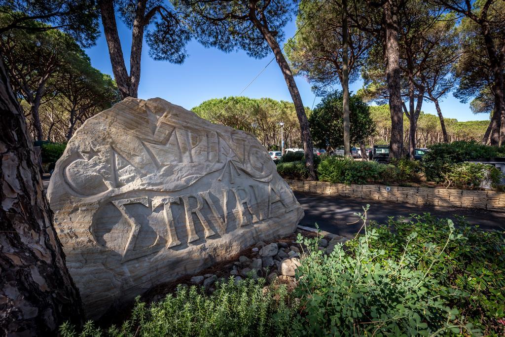 Camping Internazionale Etruria كاستيغليون ديلا بيسكايا المظهر الخارجي الصورة