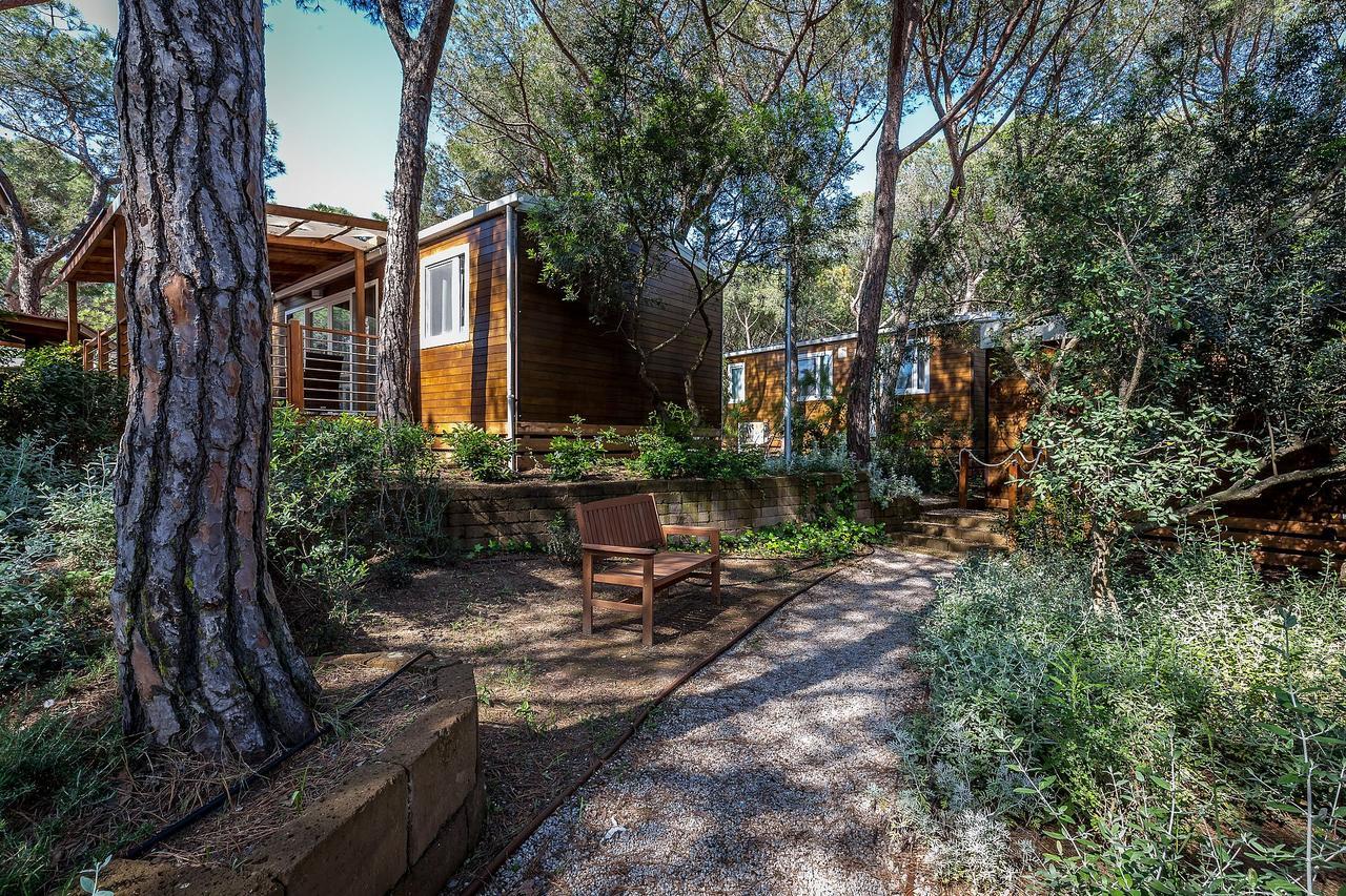 Camping Internazionale Etruria كاستيغليون ديلا بيسكايا المظهر الخارجي الصورة