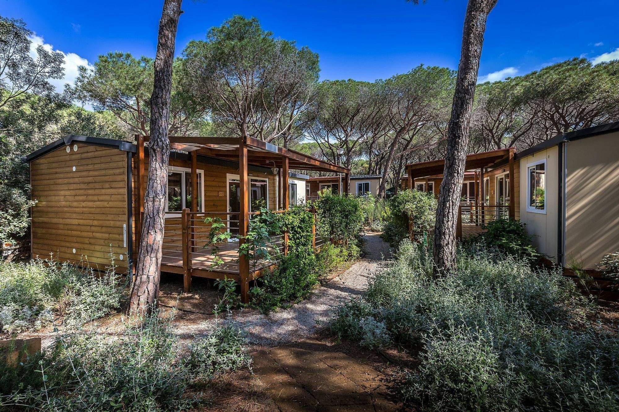 Camping Internazionale Etruria كاستيغليون ديلا بيسكايا المظهر الخارجي الصورة